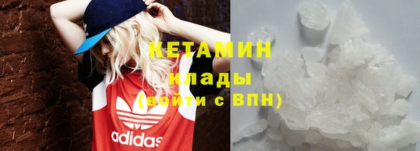 стаф Алзамай